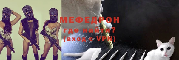 крисы Каменка