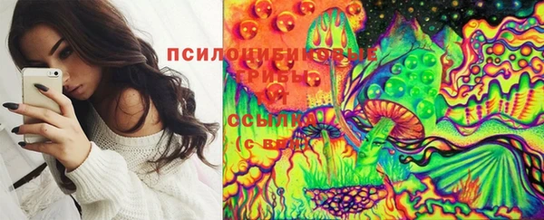 бутират Карпинск