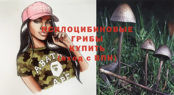 бутират Карпинск