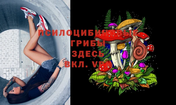 гидропоника Карталы