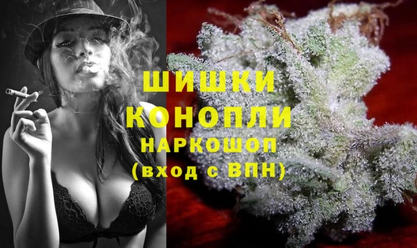 гидропоника Карталы