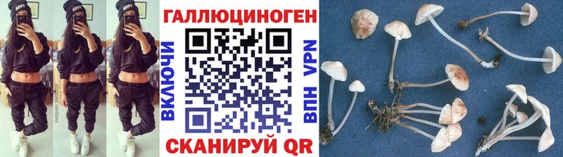 Псилоцибиновые грибы Cubensis  что такое   Мензелинск 